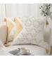 MOCOFO Decorative Tassel Throw Pillow, Geometric Embroidered Cushion Cover, Available in Multiple Sizes (31x51, 46x46, 51x51)