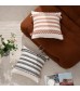 Boho Striped Throw Pillow Cover with Tassels - Decorative Cushion Case for Sofa, Bed, Living Room - MOCOFO