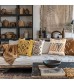 MOCOFO Patterned Chenille Throw Pillow Cover, Decorative Accent Cushion Sham
