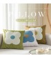 Vintage Style Home Decor Soft Velvet Flower Print Decorative Throw Pillow Cover 