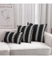 Amazon Hot Selling Geometric Stripe Cushion Covers Black And White Throw Pillow Case For Sofa Bedroom Decor 